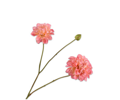 Dahliasteel l85cm zalm