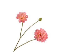 Dahliasteel l85cm zalm - afbeelding 2