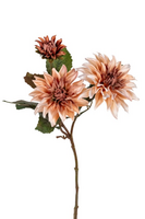 Dahliasteel x3 l60cm bruin