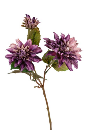 Dahliasteel x3 l60cm paars