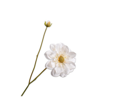 Dahliatak l48cm creme