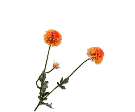 Dahliatak l53cm oranje