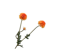 Dahliatak l53cm oranje