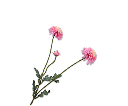 Dahliatak l53cm roze/creme