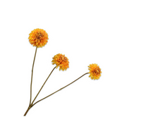 Dahliatak l65cm geel