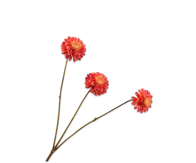 Dahliatak l65cm lichtrood