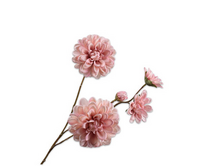 Dahliatak l70cm roze