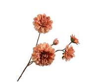 Dahliatak l70cm zalm