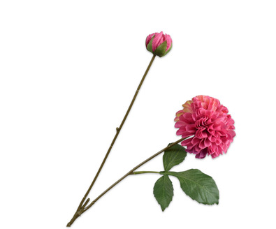 Dahliatak l73cm beauty