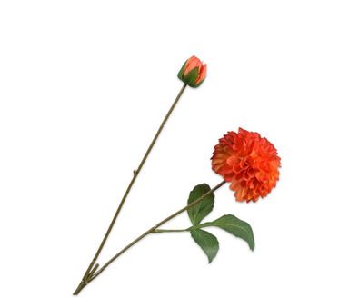 Dahliatak l73cm lichtrood