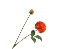 Dahliatak l73cm lichtrood