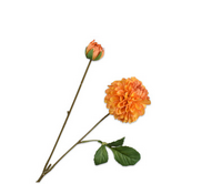 Dahliatak l73cm oranje