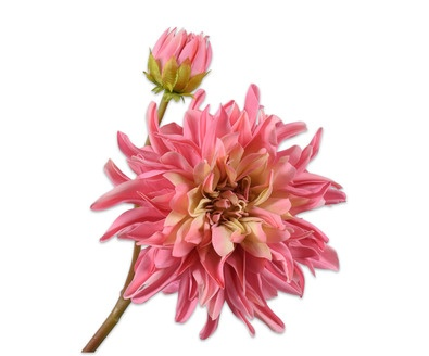 Dahliatak l78cm roze