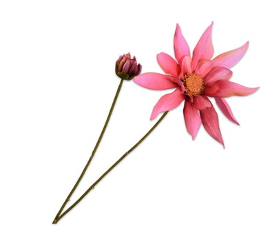 Dahliatak l90cm fuchsia