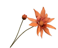 Dahliatak l90cm oranje