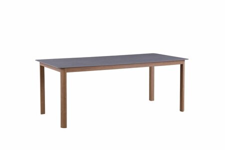 Dakota dining tafel 220x100cm