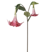 Daturasteel l100cm roze