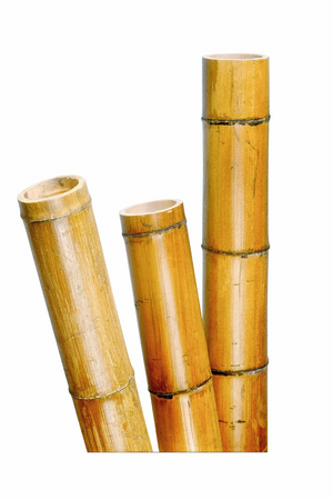 Decora bamboe b270d4-5cm naturel - afbeelding 1