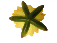 Decoratiewaterlelie d16cm geel - afbeelding 2