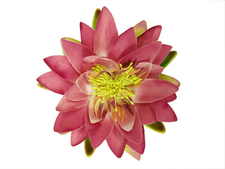 Decoratiewaterlelie d16cm paars - afbeelding 1