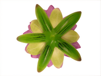 Decoratiewaterlelie d16cm paars - afbeelding 2