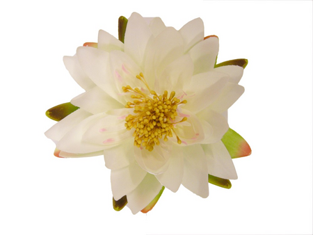 Decoratiewaterlelie d16cm wit - afbeelding 1