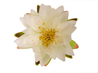 Decoratiewaterlelie d16cm wit