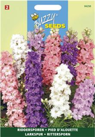 Delphinium ajacis hyacinthbloem. 1gram - afbeelding 5