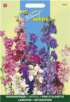 Delphinium consolida imperial mx 1gram - afbeelding 3