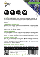 Delphinium dasante blue 20zaden - afbeelding 2