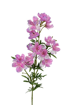 Delphinium x3 l84cm roze