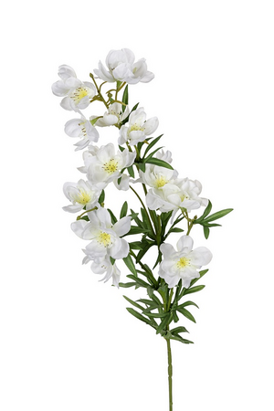 Delphinium x3 l84cm wit
