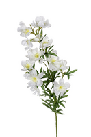 Delphinium x3 l84cm wit
