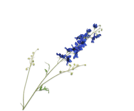 Delphiniumsteel l101cm blauw