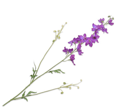 Delphiniumsteel l101cm lavendel