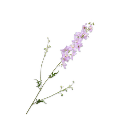 Delphiniumsteel l101cm lichtroze