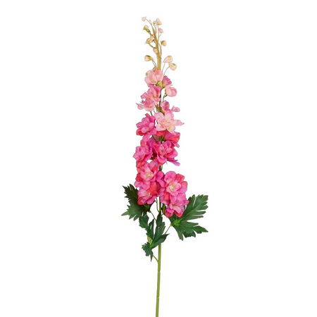 Delphiniumsteel l78cm fuchsia