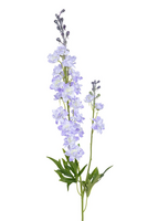 Delphiniumsteel l85cm lila