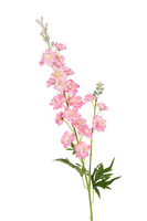 Delphiniumsteel l85cm roze