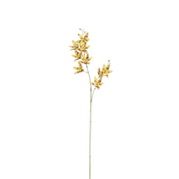 Dendrobium l84b18h8cm geel