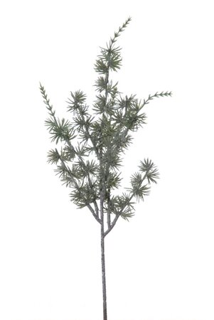 Dennentak l43cm groen (Zijde-tak)