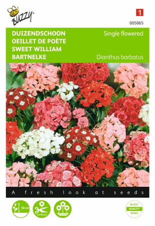 Dianthus barbatus enkelbloemig 1gram - afbeelding 1