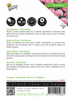 Dianthus barbatus pink 0.75gram - afbeelding 2