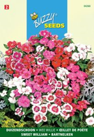 Dianthus barbatus wee willie 0.5gram - afbeelding 4