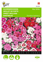 Dianthus barbatus wee willie 0.5gram