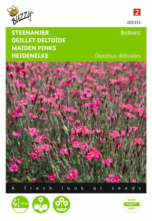 Dianthus deltoides erectus k. 0.25gram - afbeelding 1