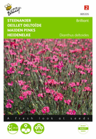 Dianthus deltoides erectus k. 0.25gram
