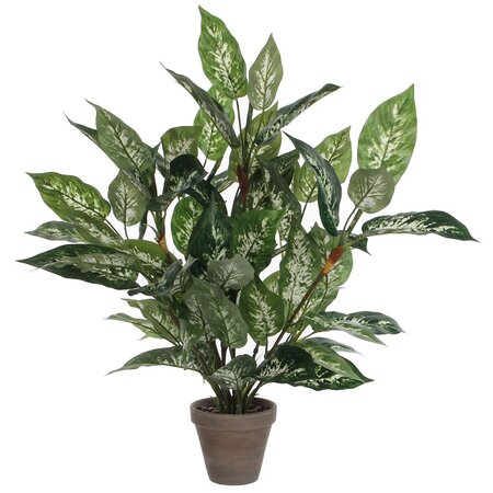 Dieffenbachia bld in pot d55h70 grn (Zijde-plant)