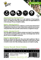 Digitalis dalmation peach 25zaden - afbeelding 2