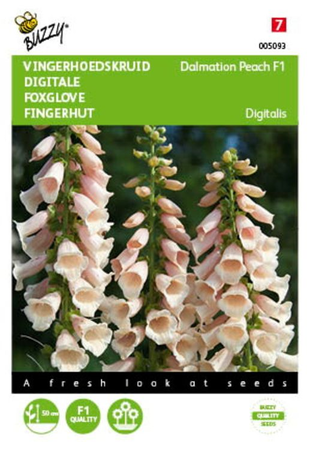 Digitalis dalmation peach 25zaden - afbeelding 1